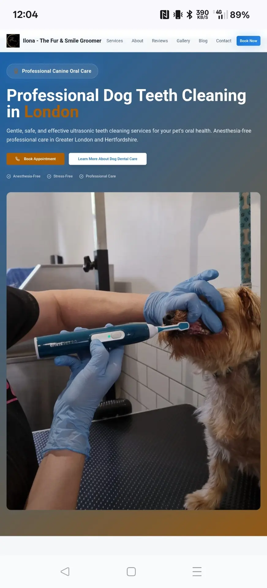 Dog Teeth Cleanings – website before