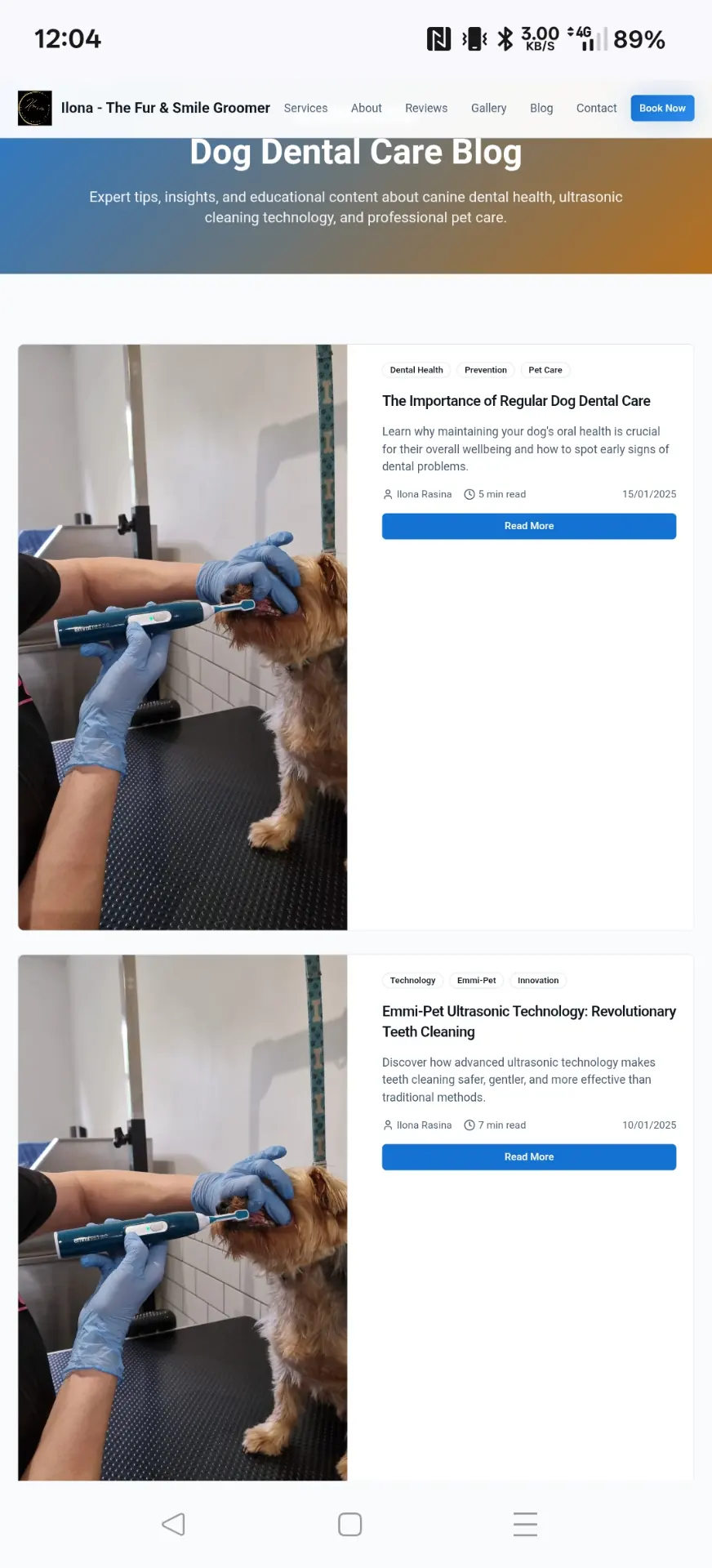 Dog Teeth Cleanings – website after